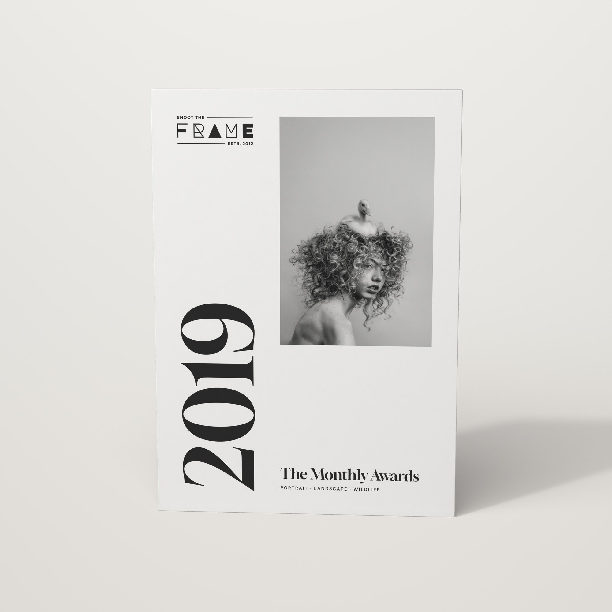 Front cover of The 2019 Monthly Awards by Shoot The Frame