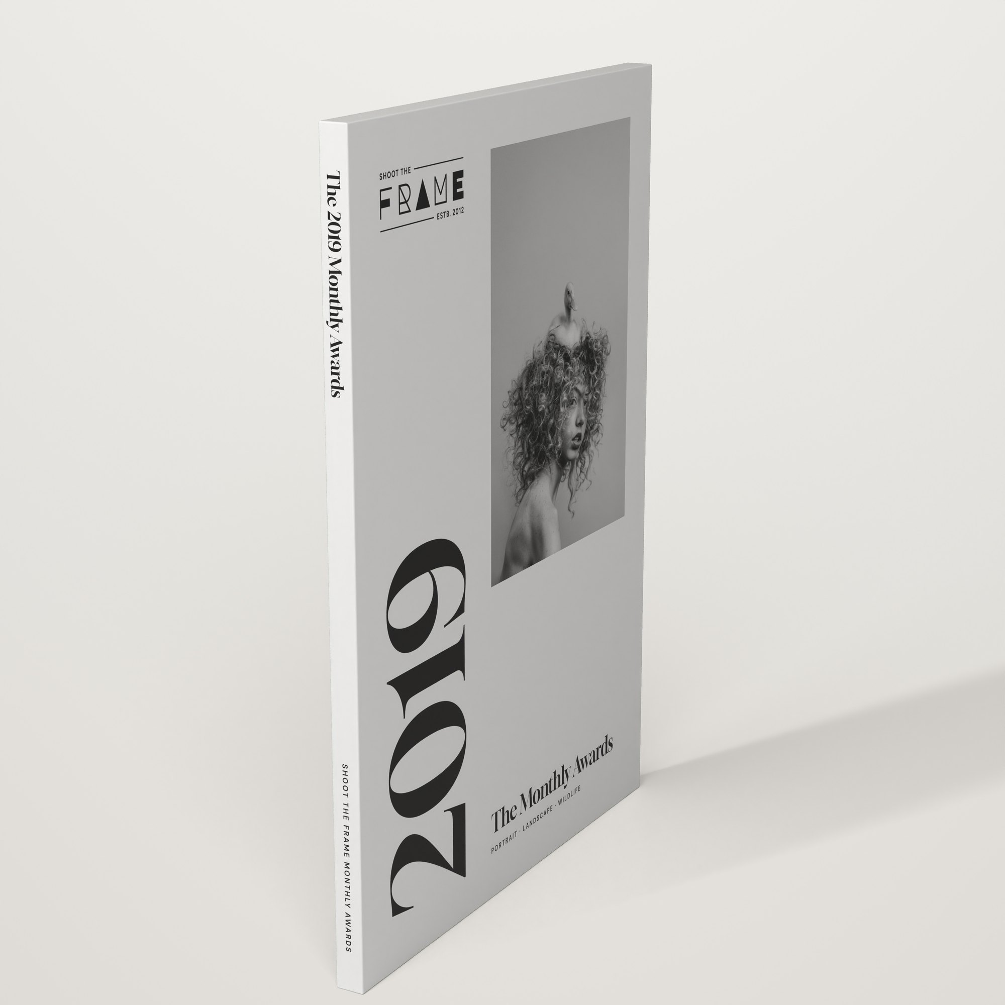 Shoot The Frame The 2019 Monthly Awards, a photography book of the winners and finalists of the 2019 Monthly Awards