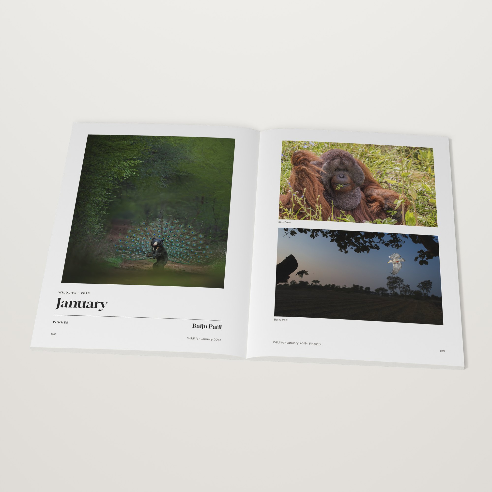 The 2019 Monthly Awards open at the Wildlife winner by Baiju Patil, January 2019