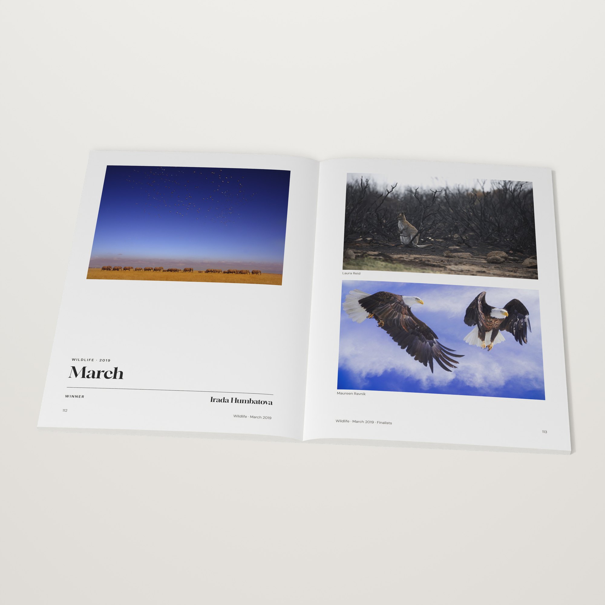 The 2019 Monthly Awards open at the Wildlife winner by Irada Humbatova, March 2019