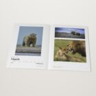 The 2020 Monthly Awards open at the Wildlife winner by Ed Boudreau, March 2020