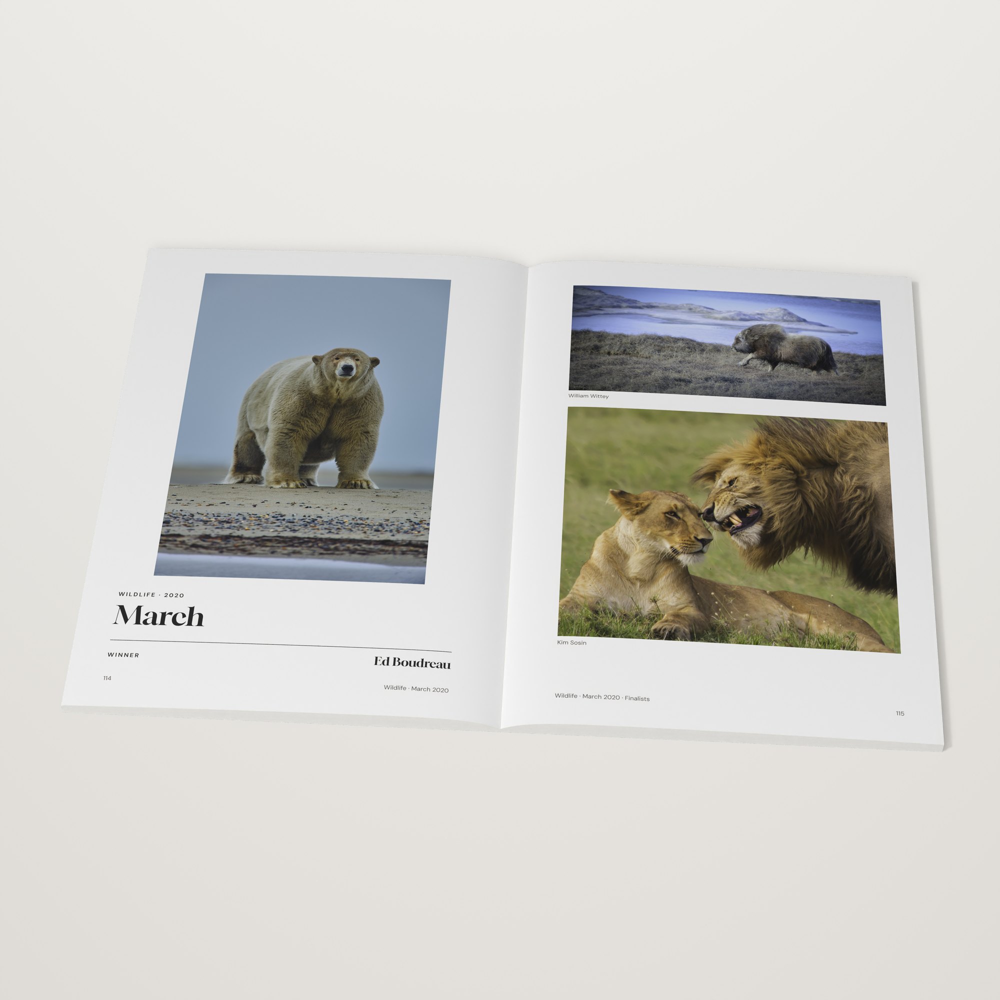 The 2020 Monthly Awards open at the Wildlife winner by Ed Boudreau, March 2020