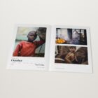 The 2021 Monthly Awards open at the Portrait winner by Tatchero Fidelis, October 2021