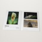 The 2022 Monthly Awards open at the Wildlife winner by Grant Hunt, January 2022