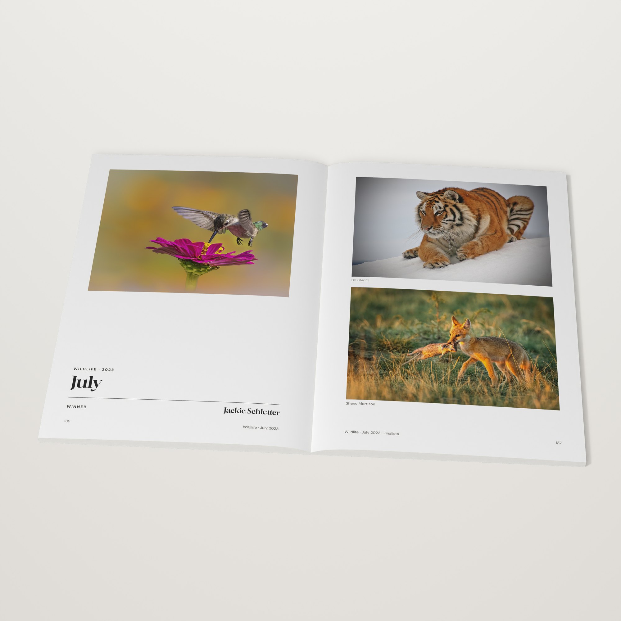 The 2023 Monthly Awards open at the Wildlife winner by Jackie Schletter, July 2023
