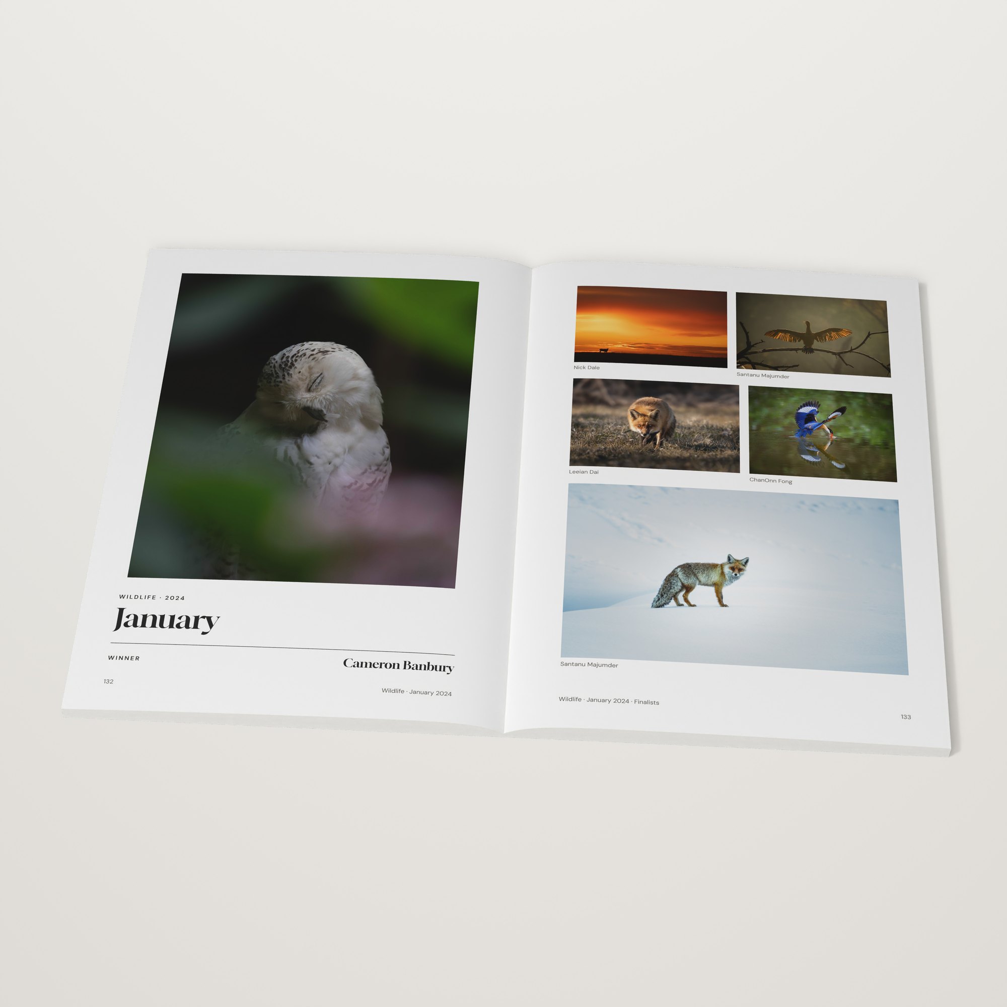 The 2024–2025 Monthly Awards open at the Wildlife winner by Cameron Banbury, January