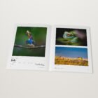 The 2024–2025 Monthly Awards open at the Wildlife winner by ChanOnn Fong, July